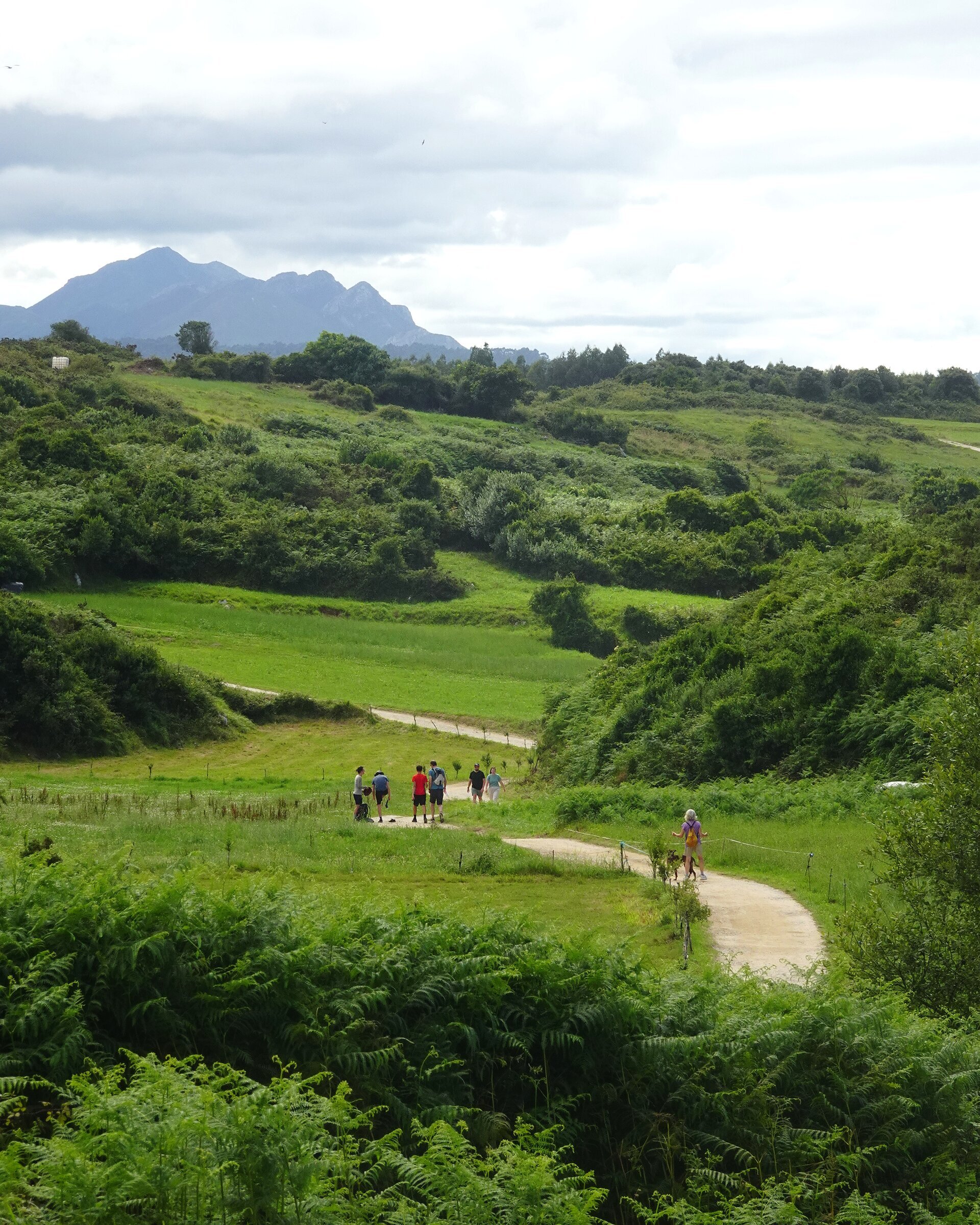 Walkers on a gravel path through green pasture below jagged mountains