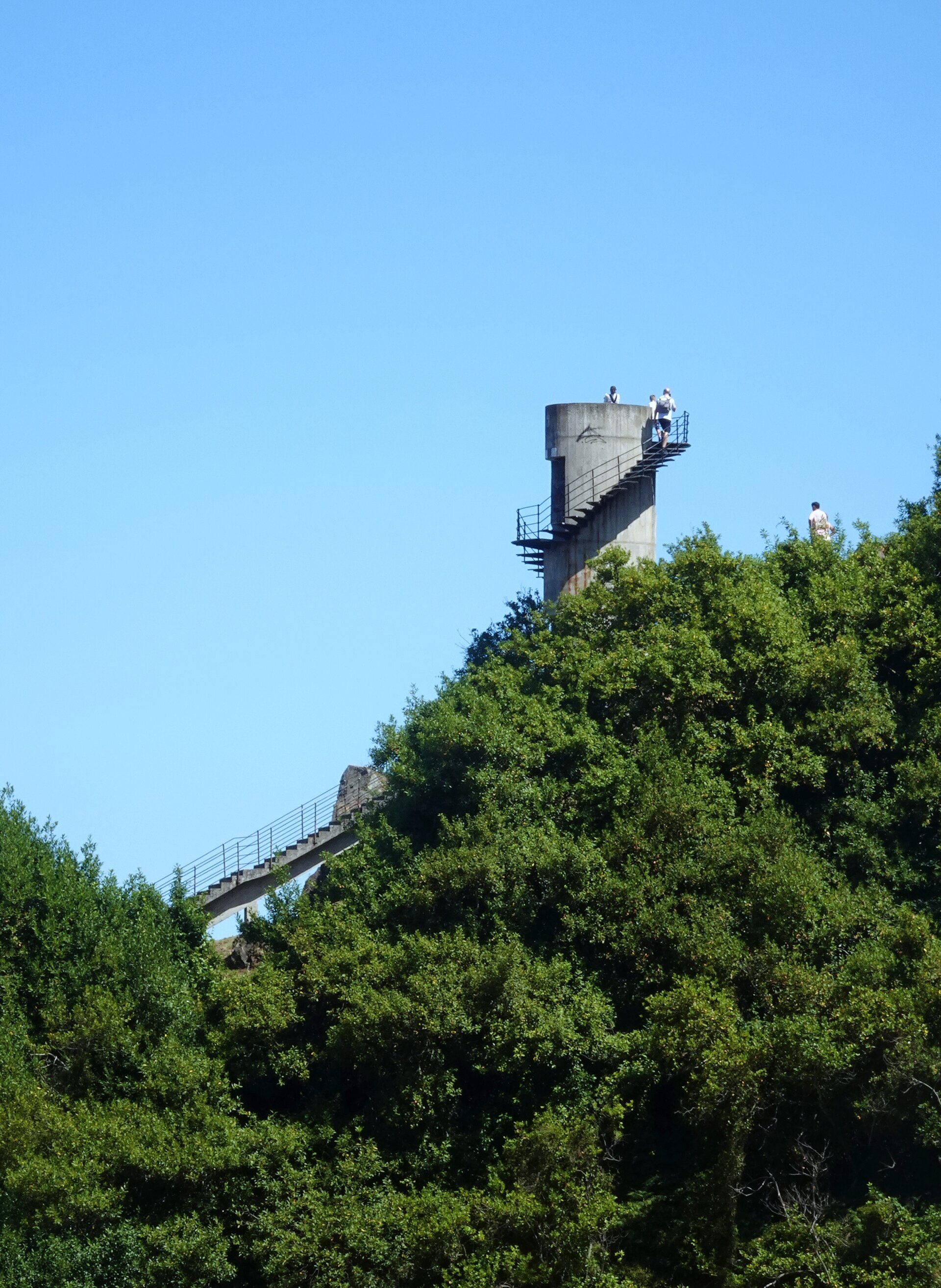 Walkers climbing a concrete viewpoint tower rising out of the trees