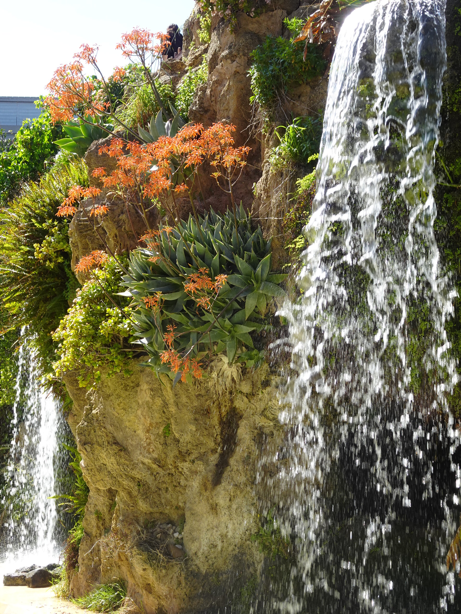 Waterfall with orange flowers cascading over mossy rocks