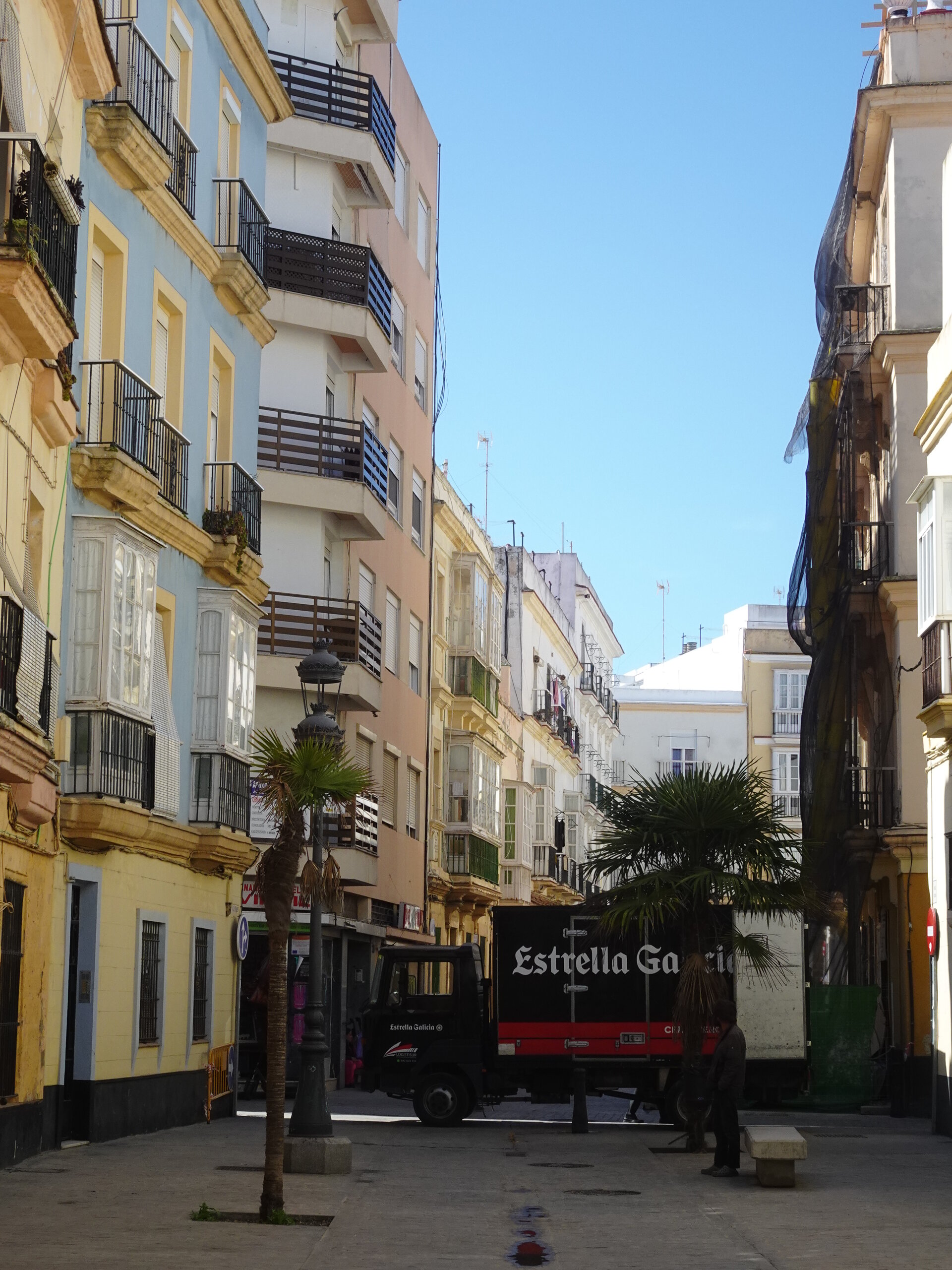 Small plaza with palm trees and a beer delivery truck