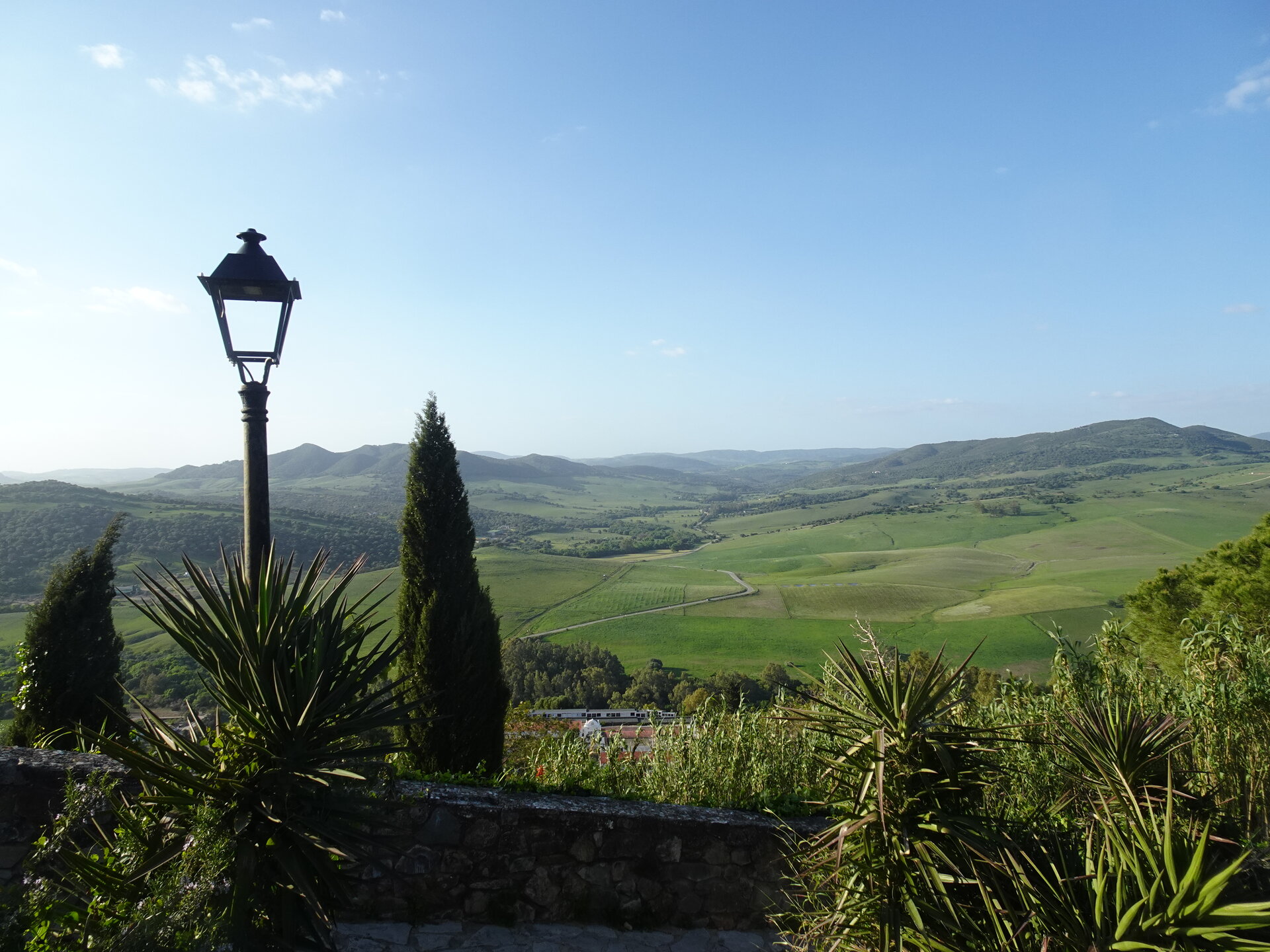 Lamp post and cypress tree overlooking green hillside panorama