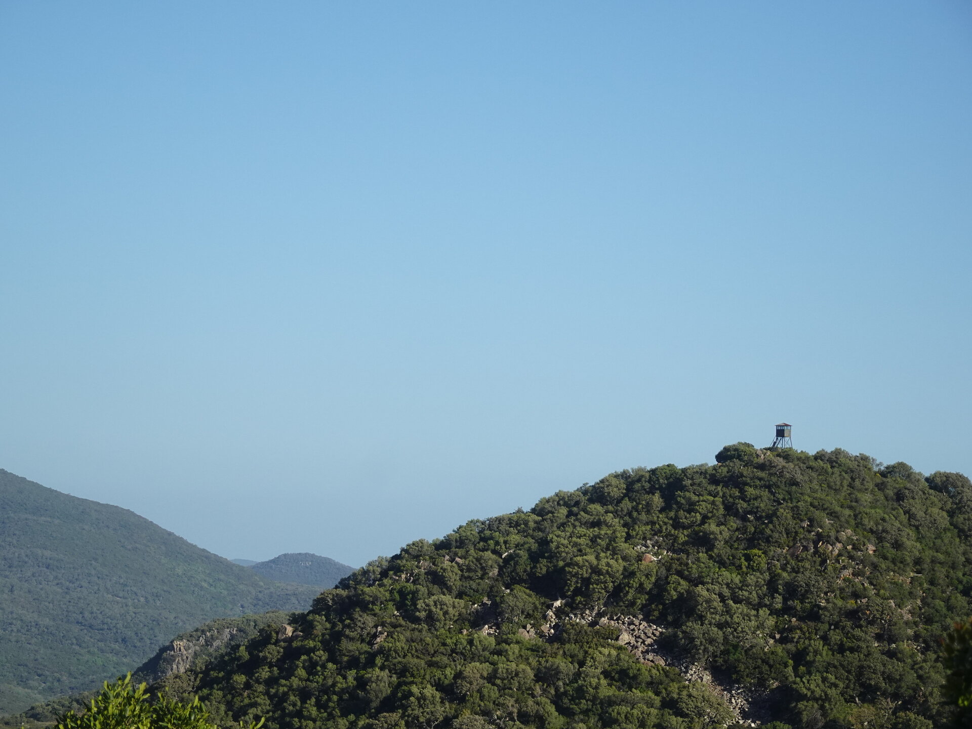 Watchtower on a forested hilltop under clear blue sky