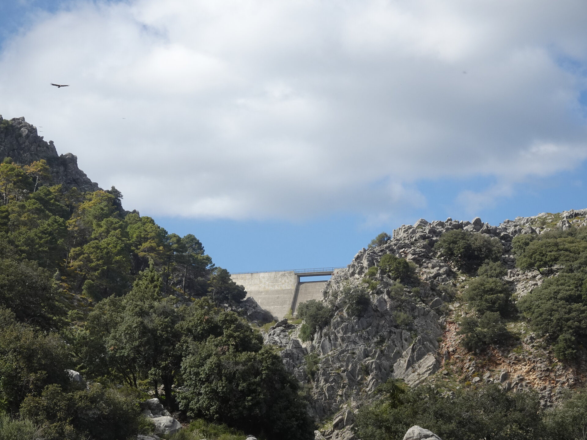 Concrete dam spanning a rocky gorge with a bird soaring