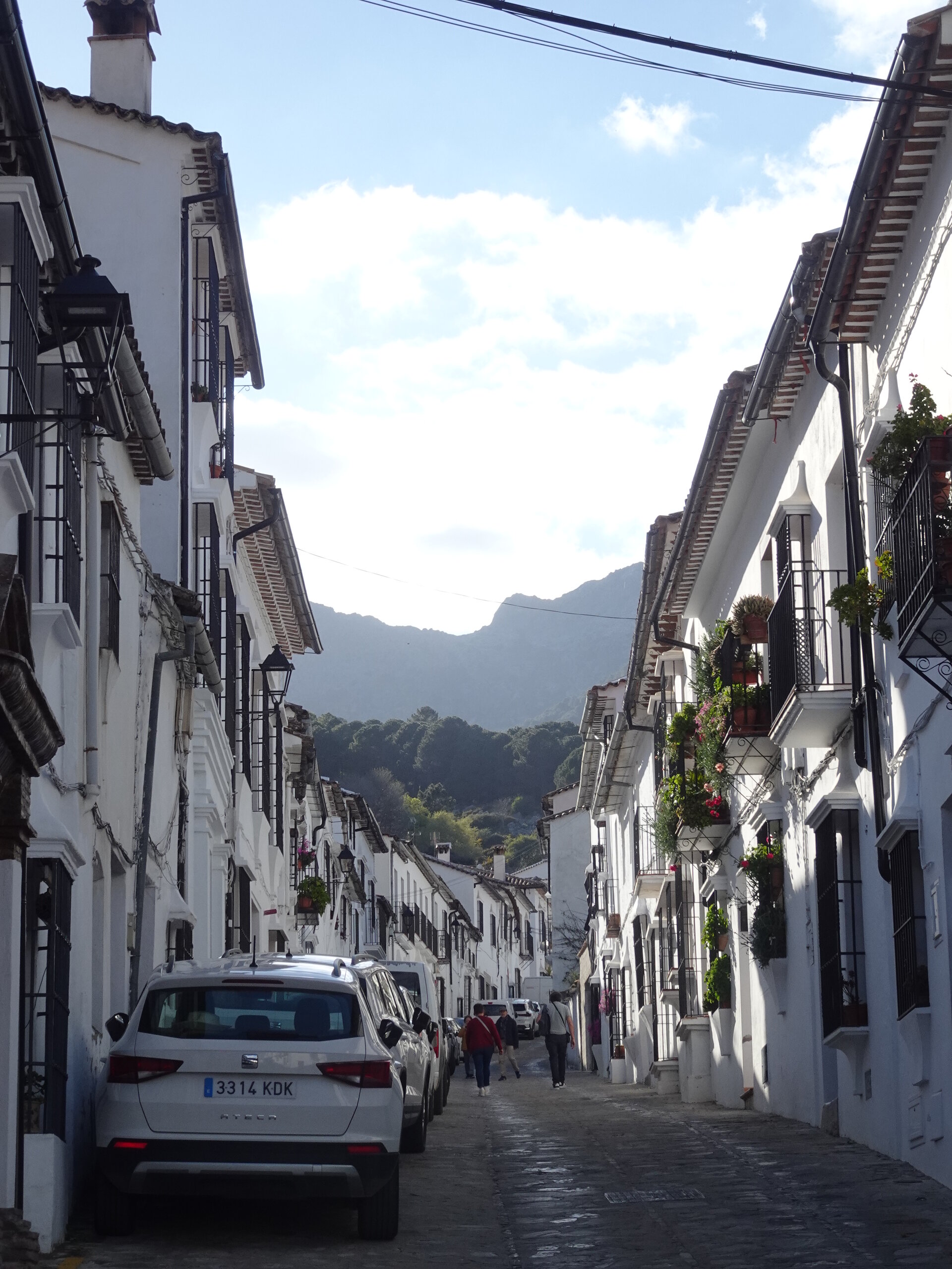 White-washed street with flower pots and mountains behind