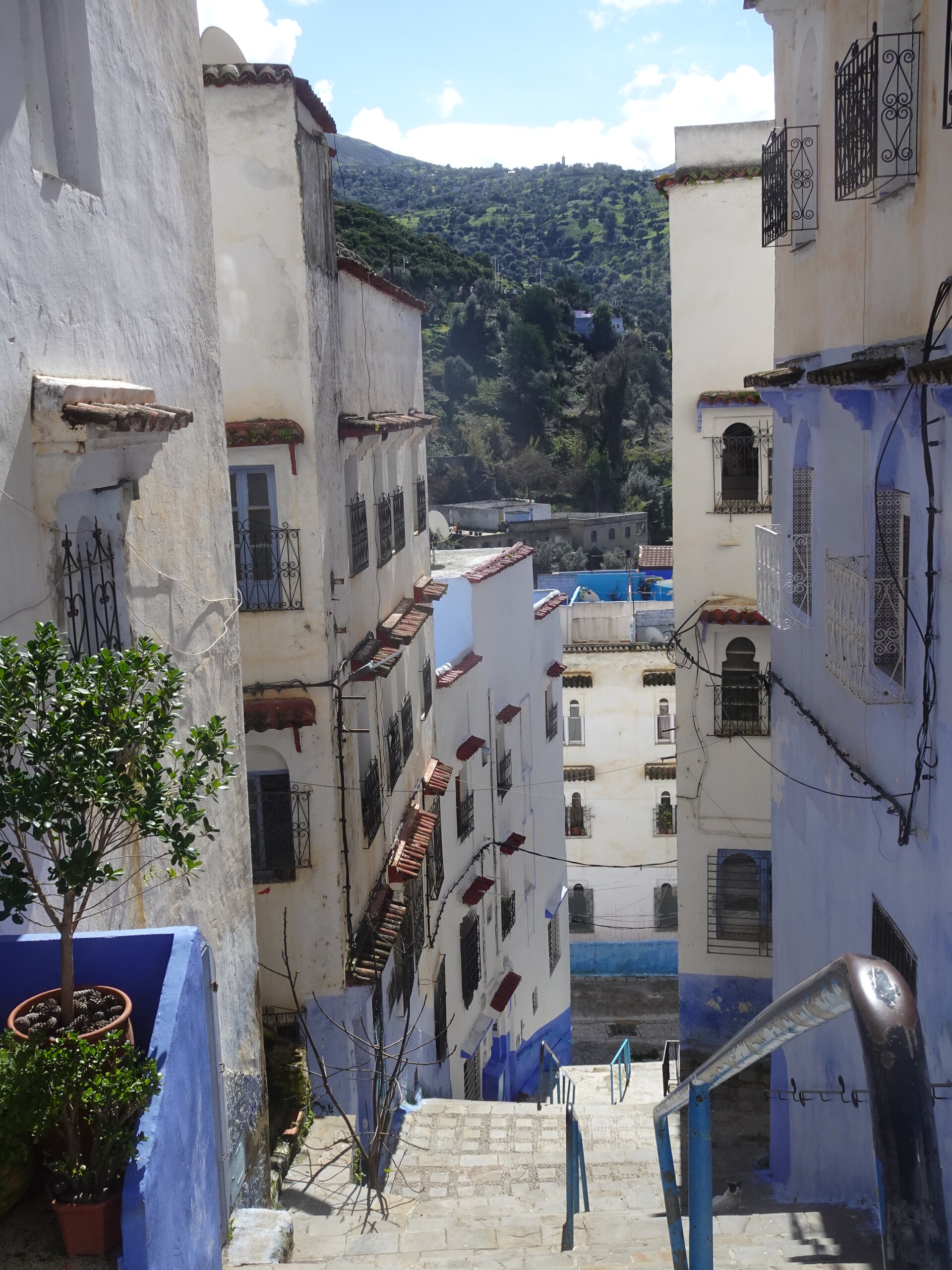 Stepped alley between blue and white buildings with green hillside above