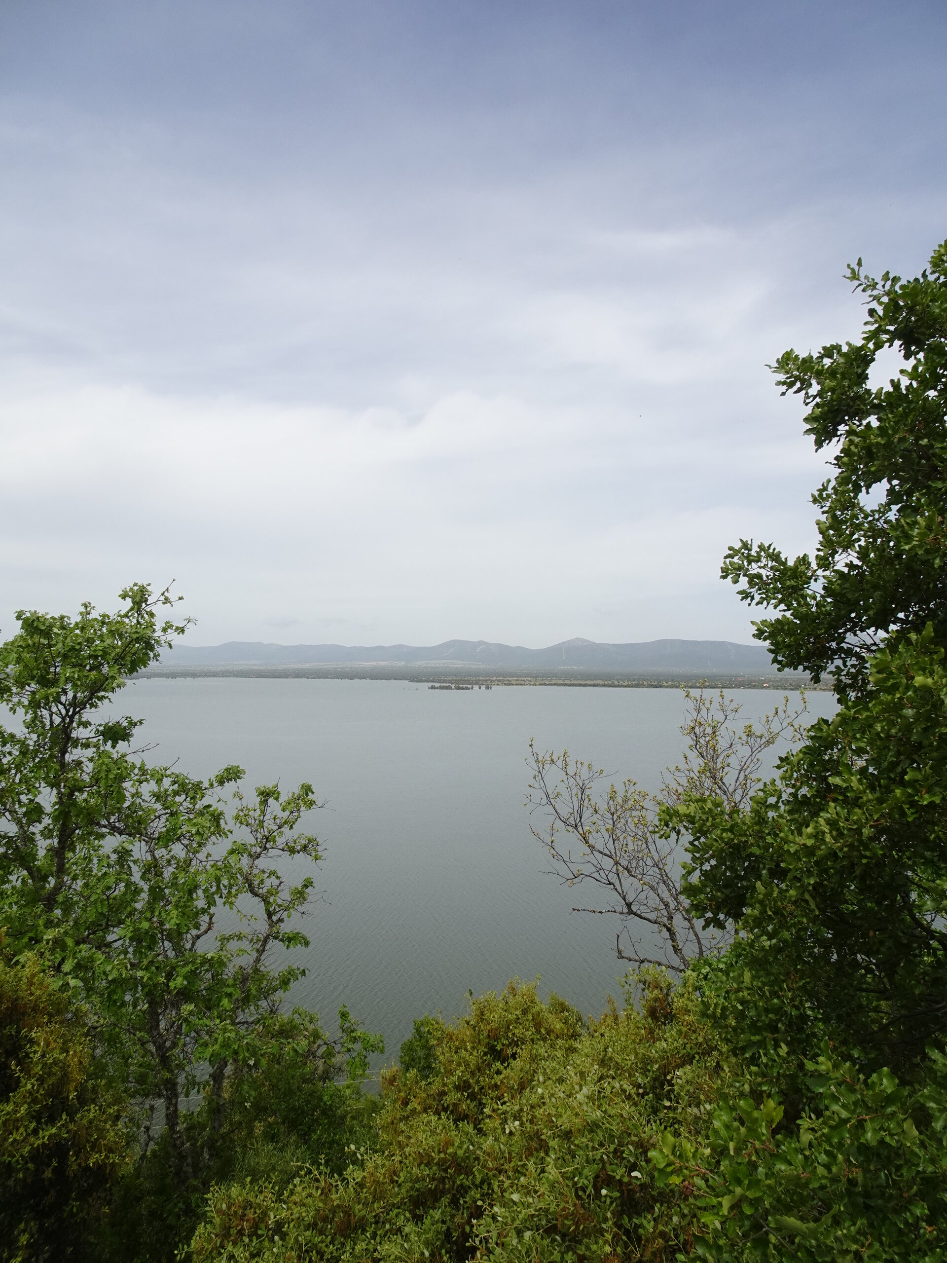 Wide reservoir framed by trees with low hills under overcast sky