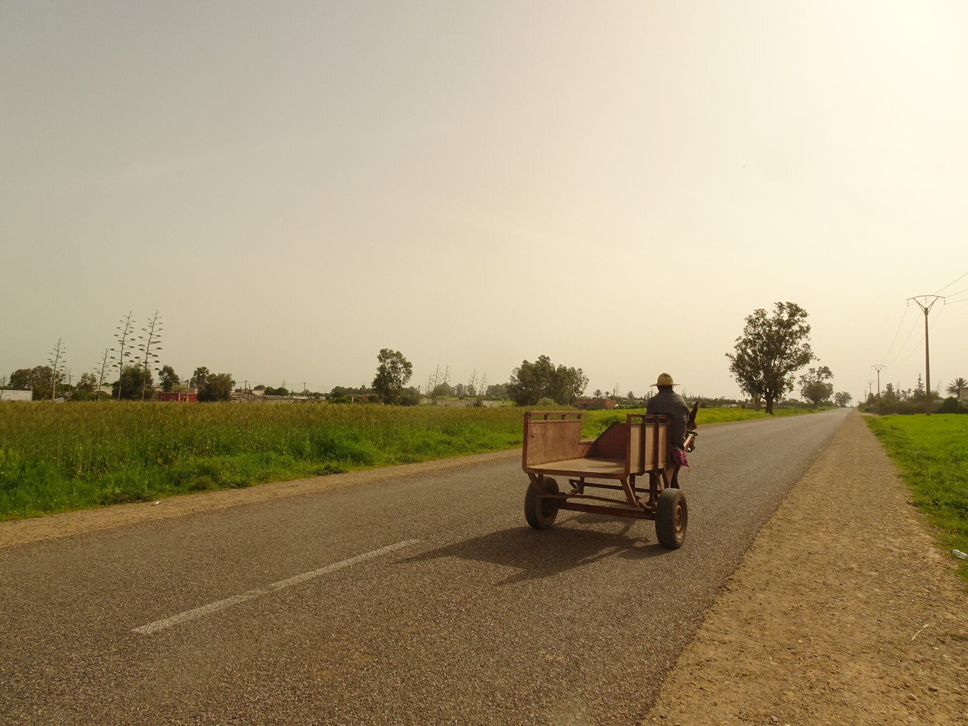 Horse-drawn cart on a straight road through green farmland under hazy sky