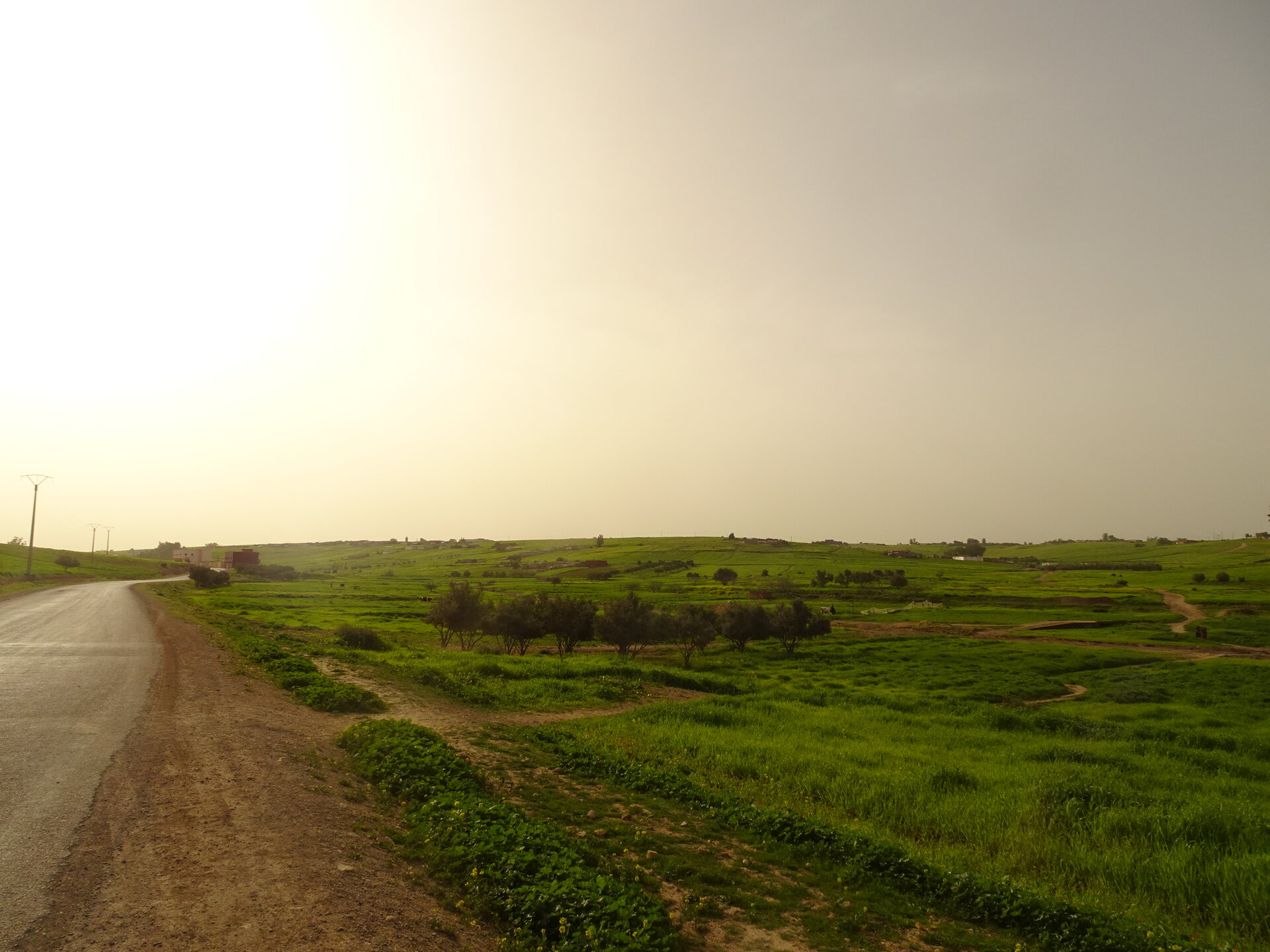 Rolling green hills and farmland under a hazy sky