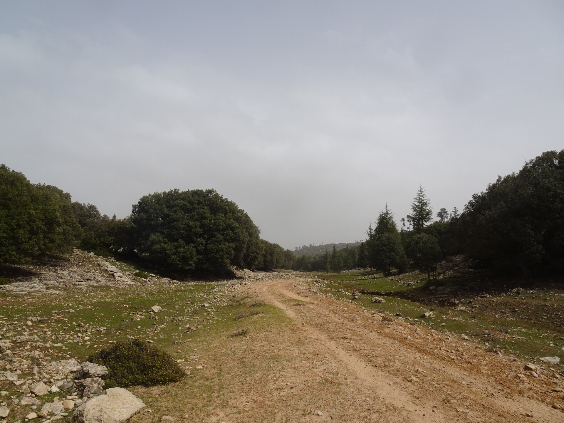 Dirt track winding through a rocky valley with green trees