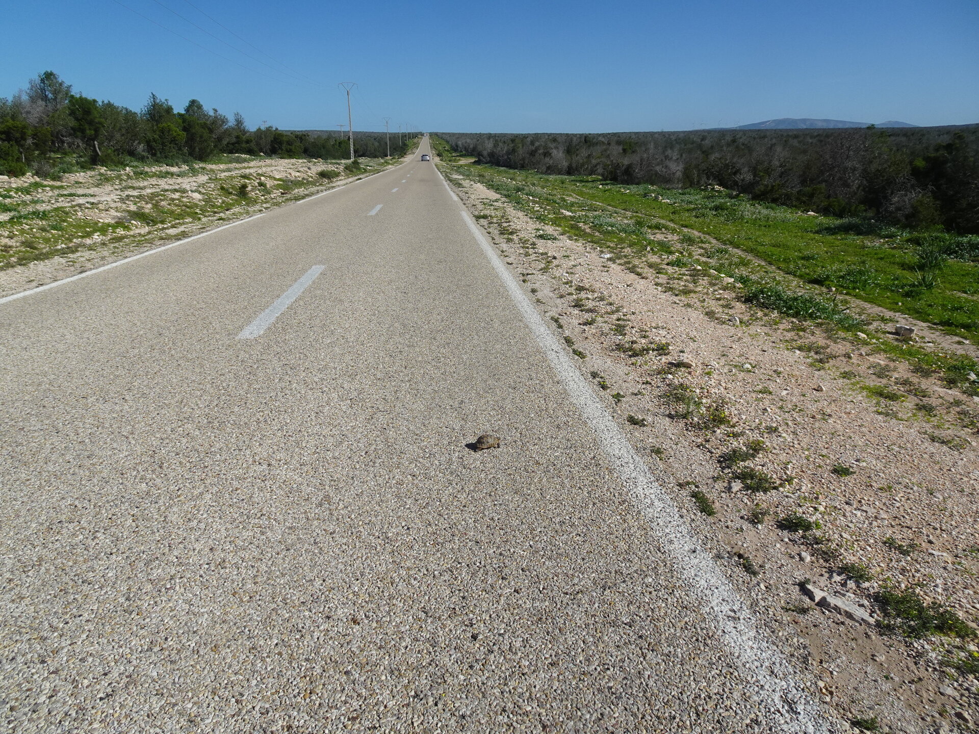 Long straight road stretching into the distance through flat scrubland