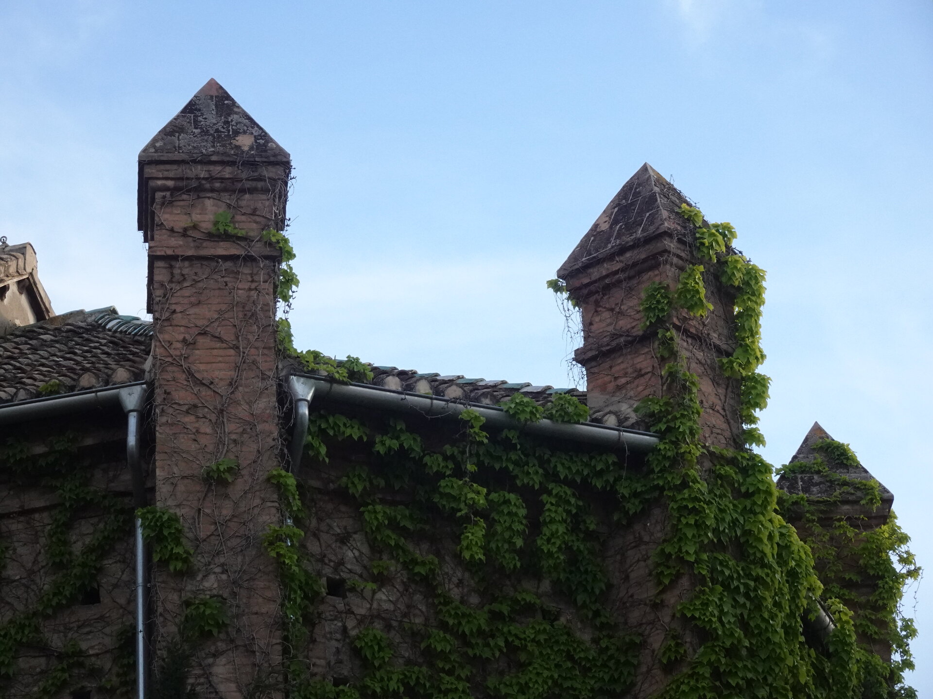 Ivy clad stone building with pyramidal chimney pinnacles against a pale sky