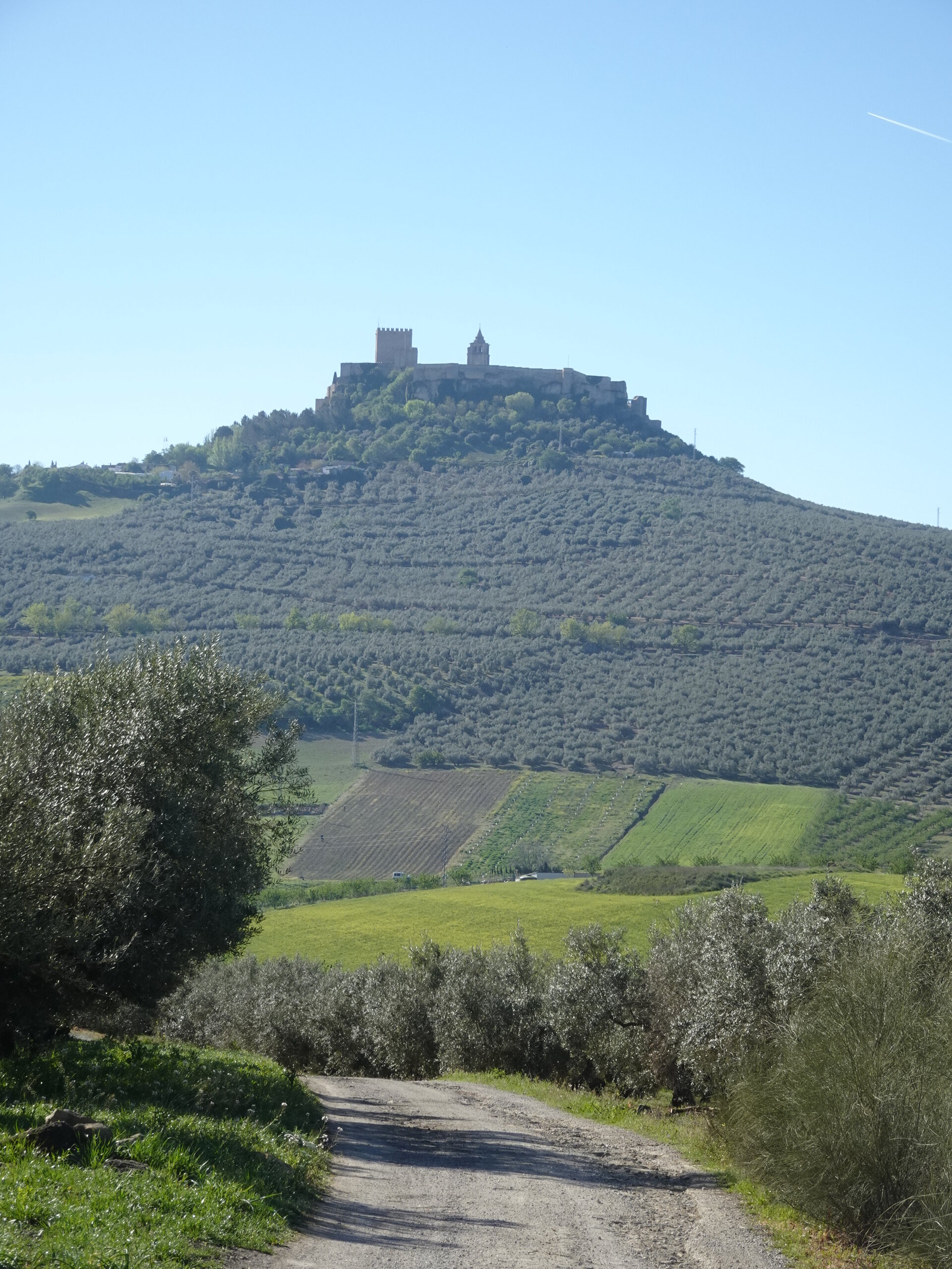 Hilltop castle towering above a hillside of olive groves and patchwork fields