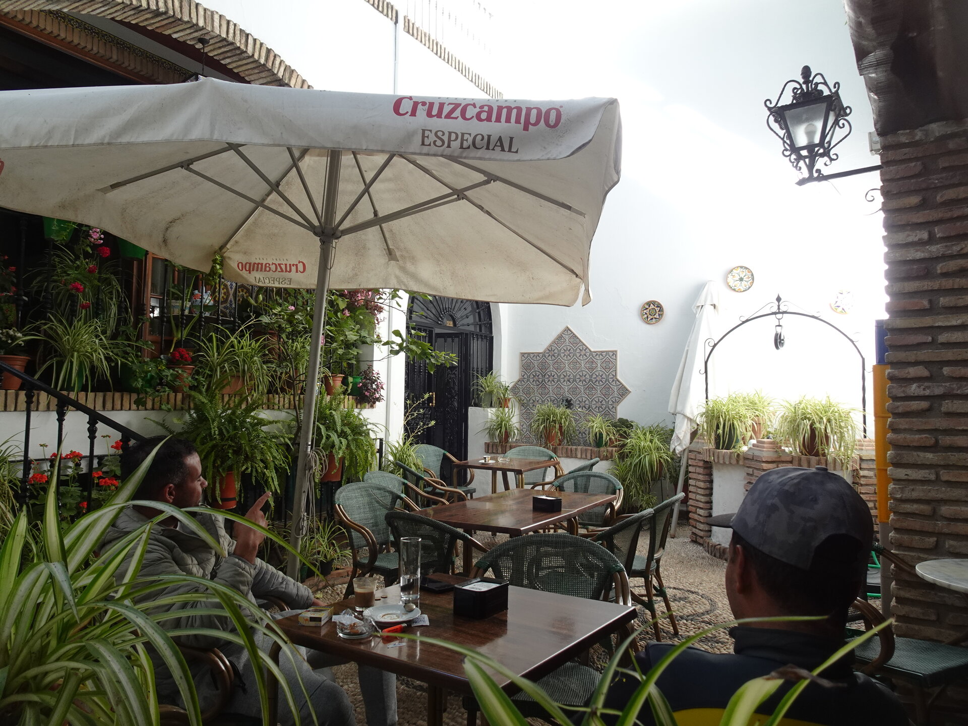 Cafe courtyard with a Cruzcampo parasol and potted plants