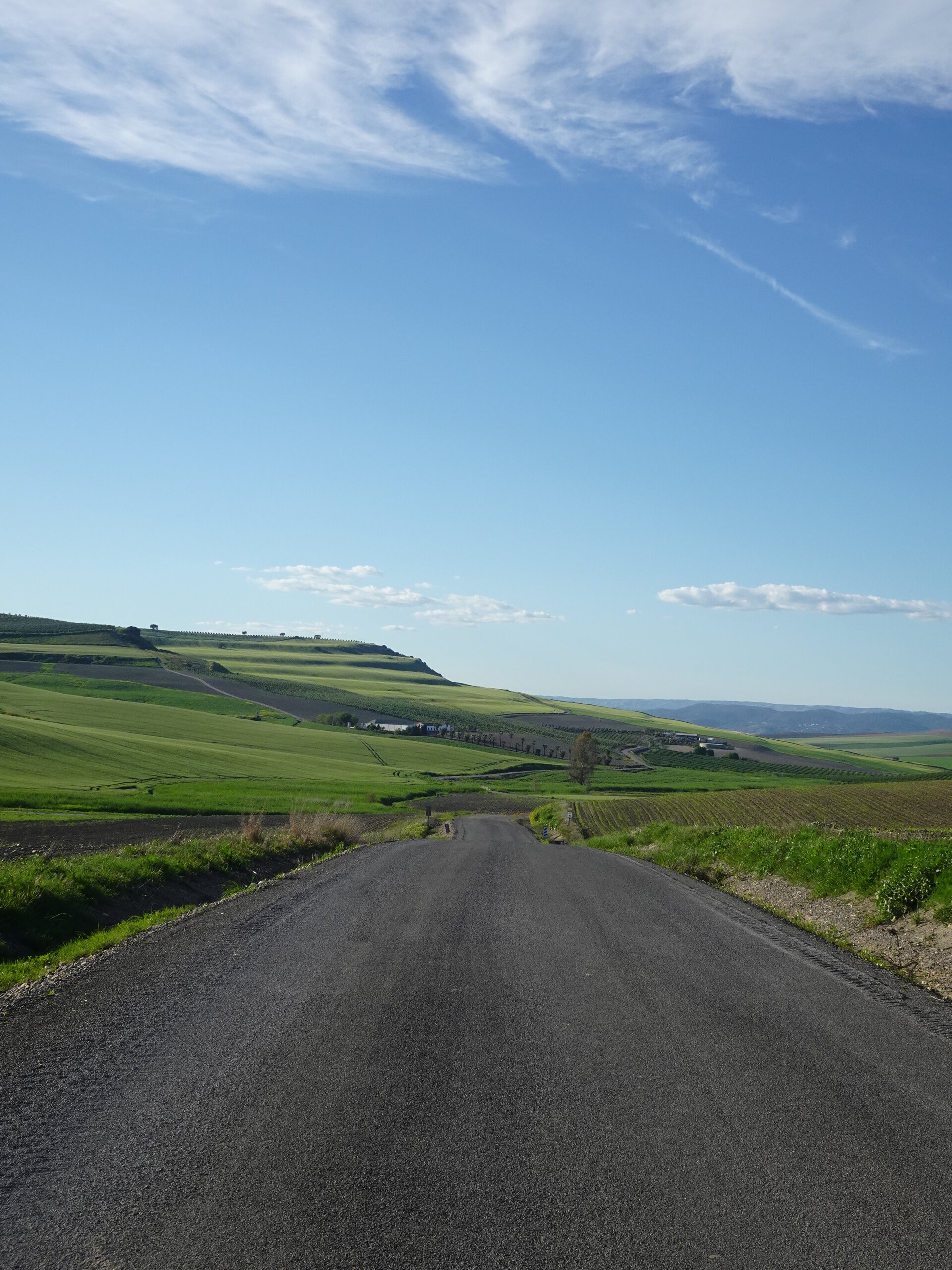 Empty road stretching into rolling green farmland under wispy cloud