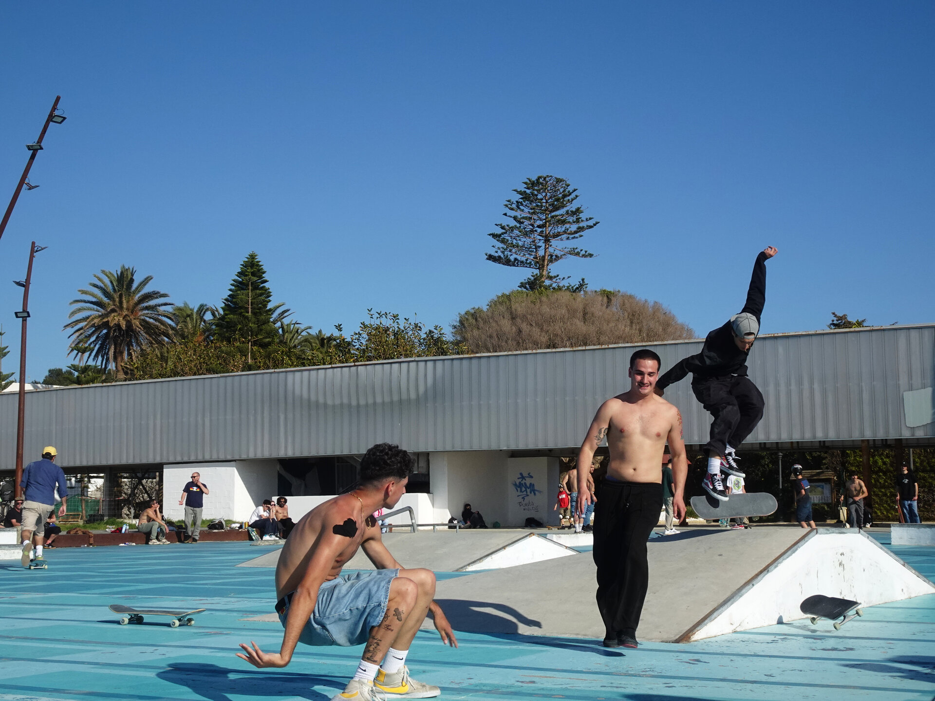 Skateboarders at an outdoor seaside skatepark under a clear blue sky