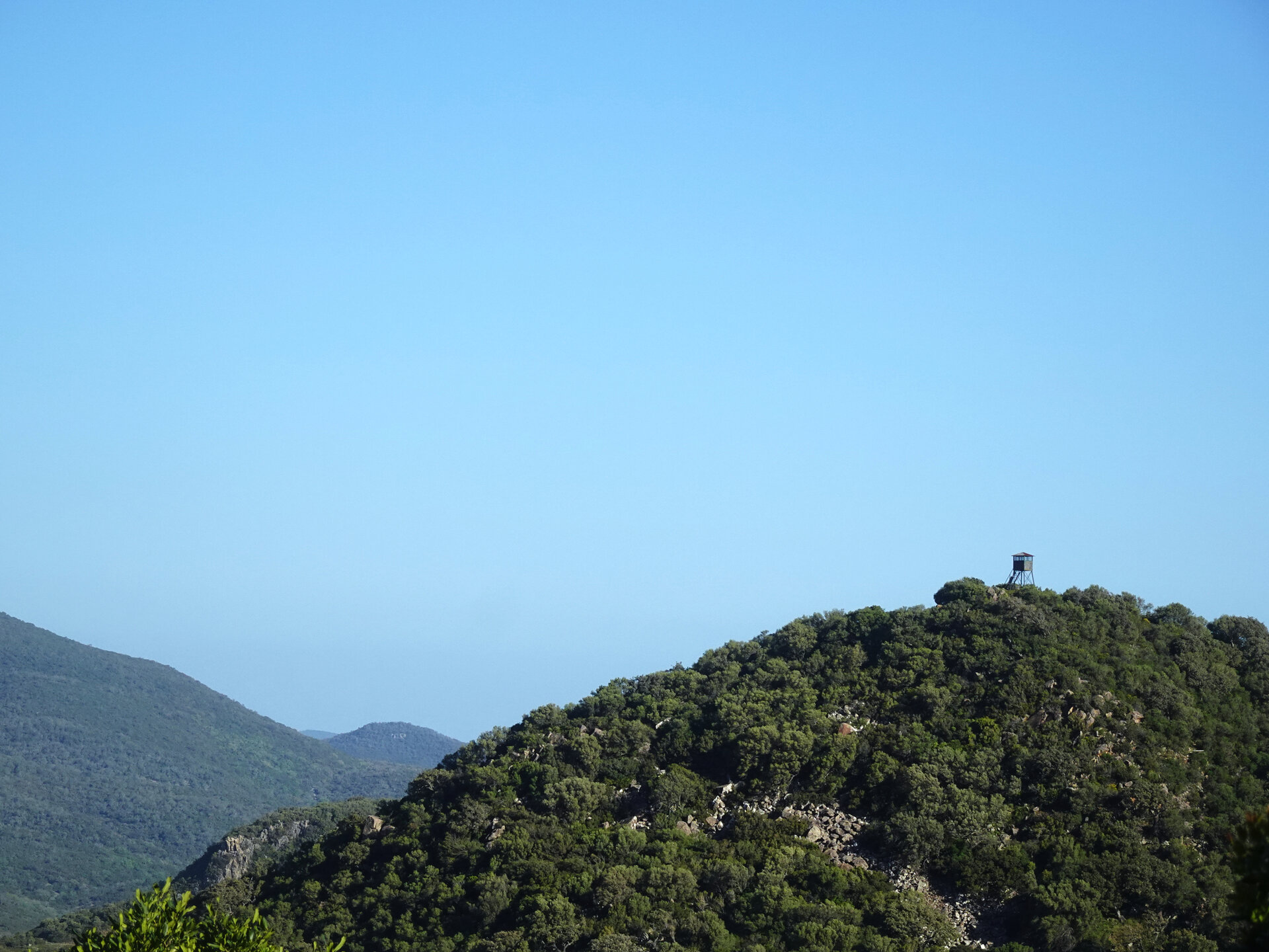A small watchtower on a wooded hilltop against a blue sky