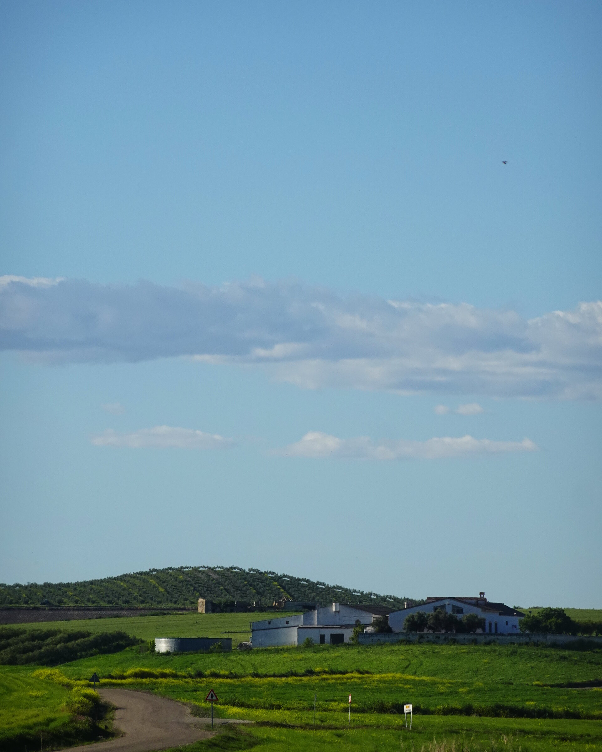 A lone farmstead below a green hill under a wide cloud-streaked sky