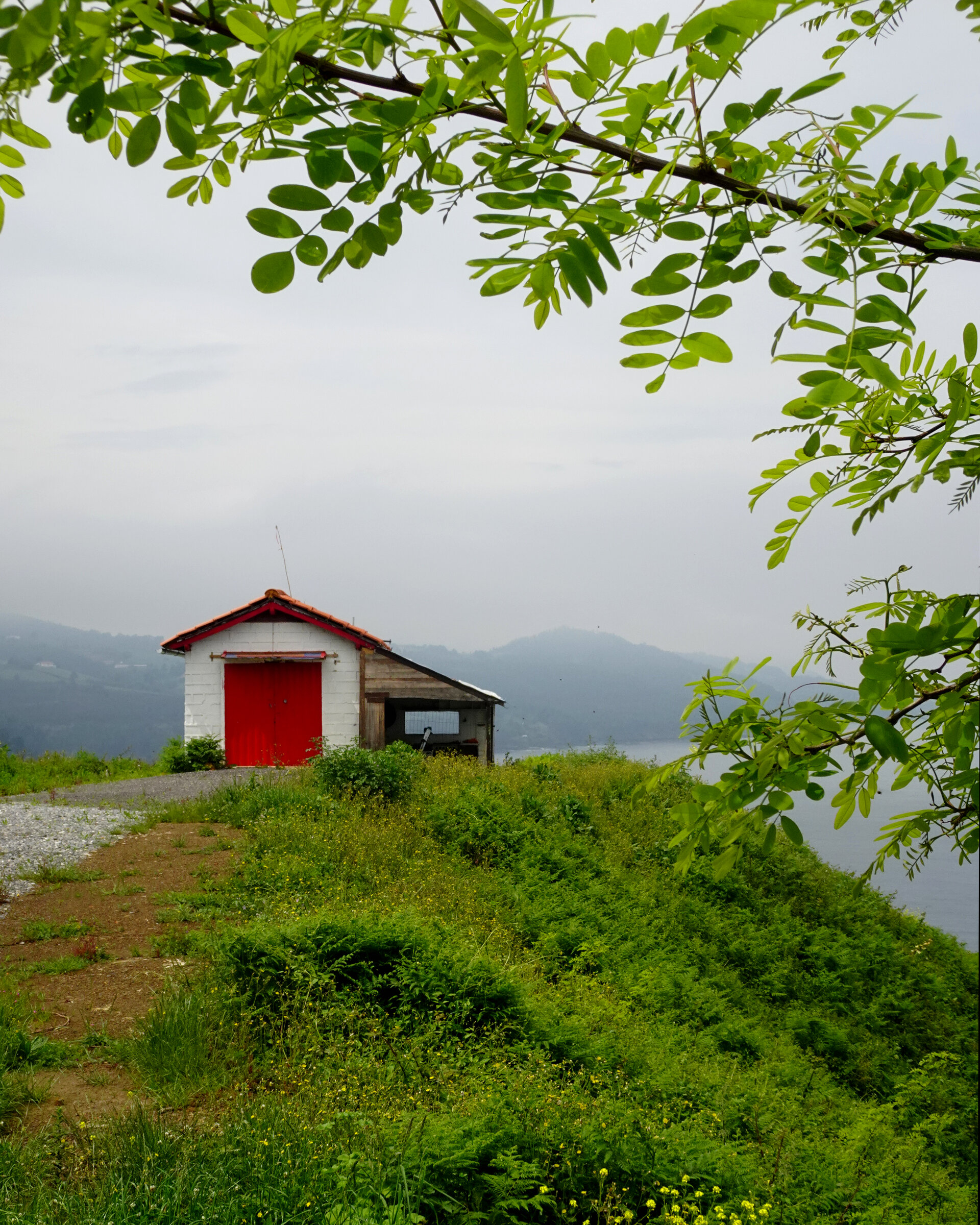 A small red-roofed hut on a green hillside beside a tree