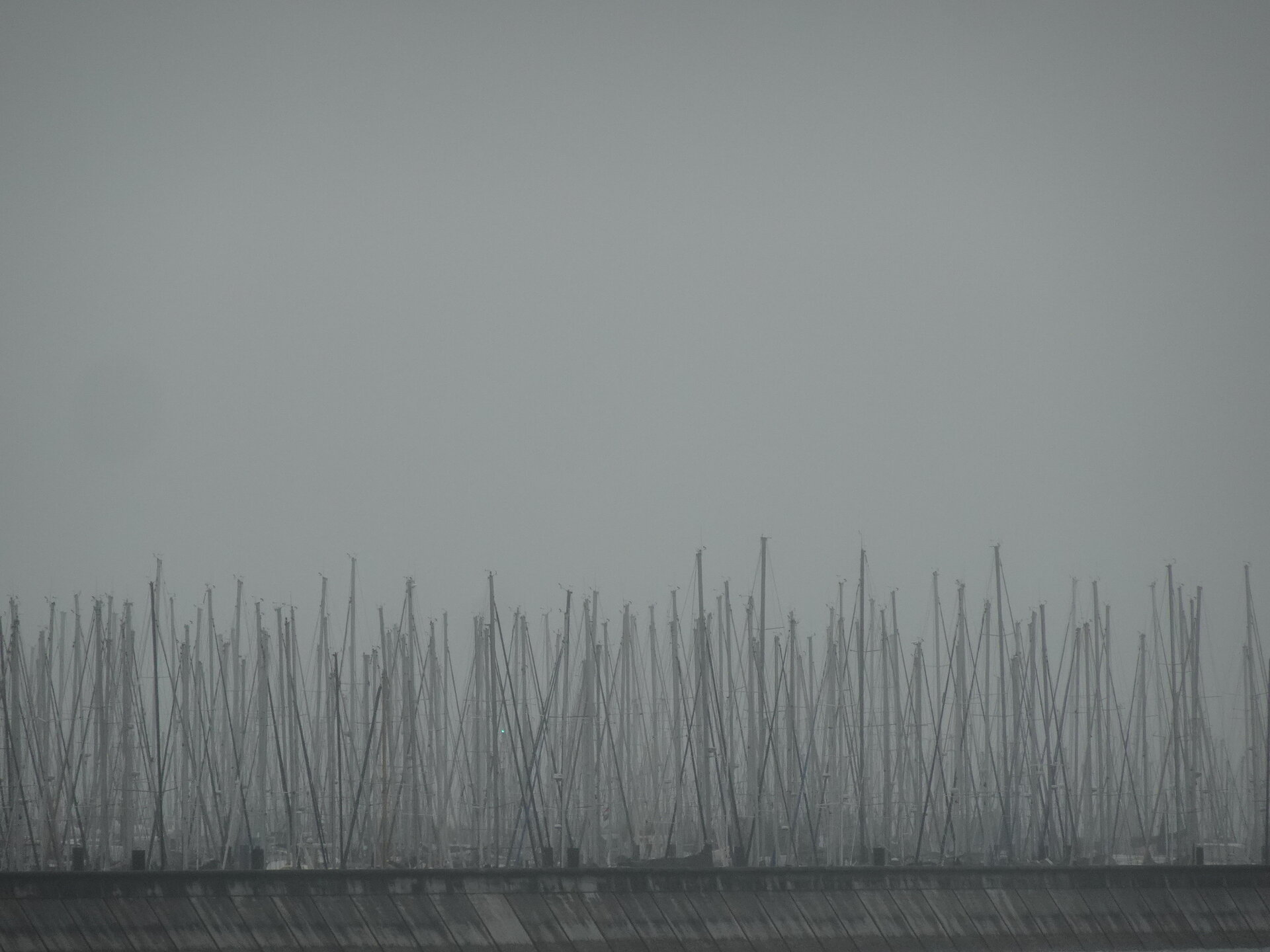 A forest of sailboat masts rising into grey mist above a harbour wall