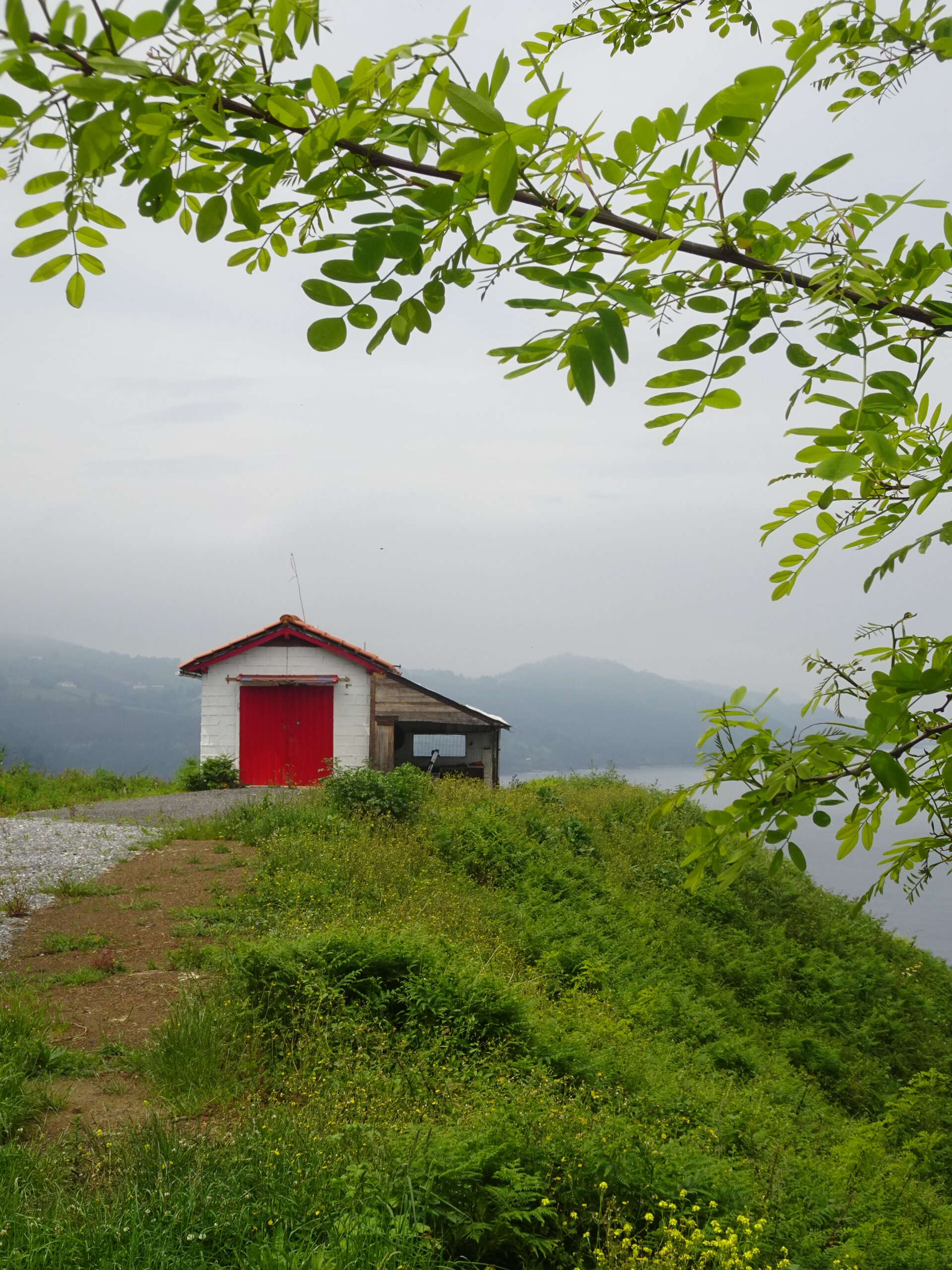 Red-doored boathouse on a clifftop framed by overhanging green leaves