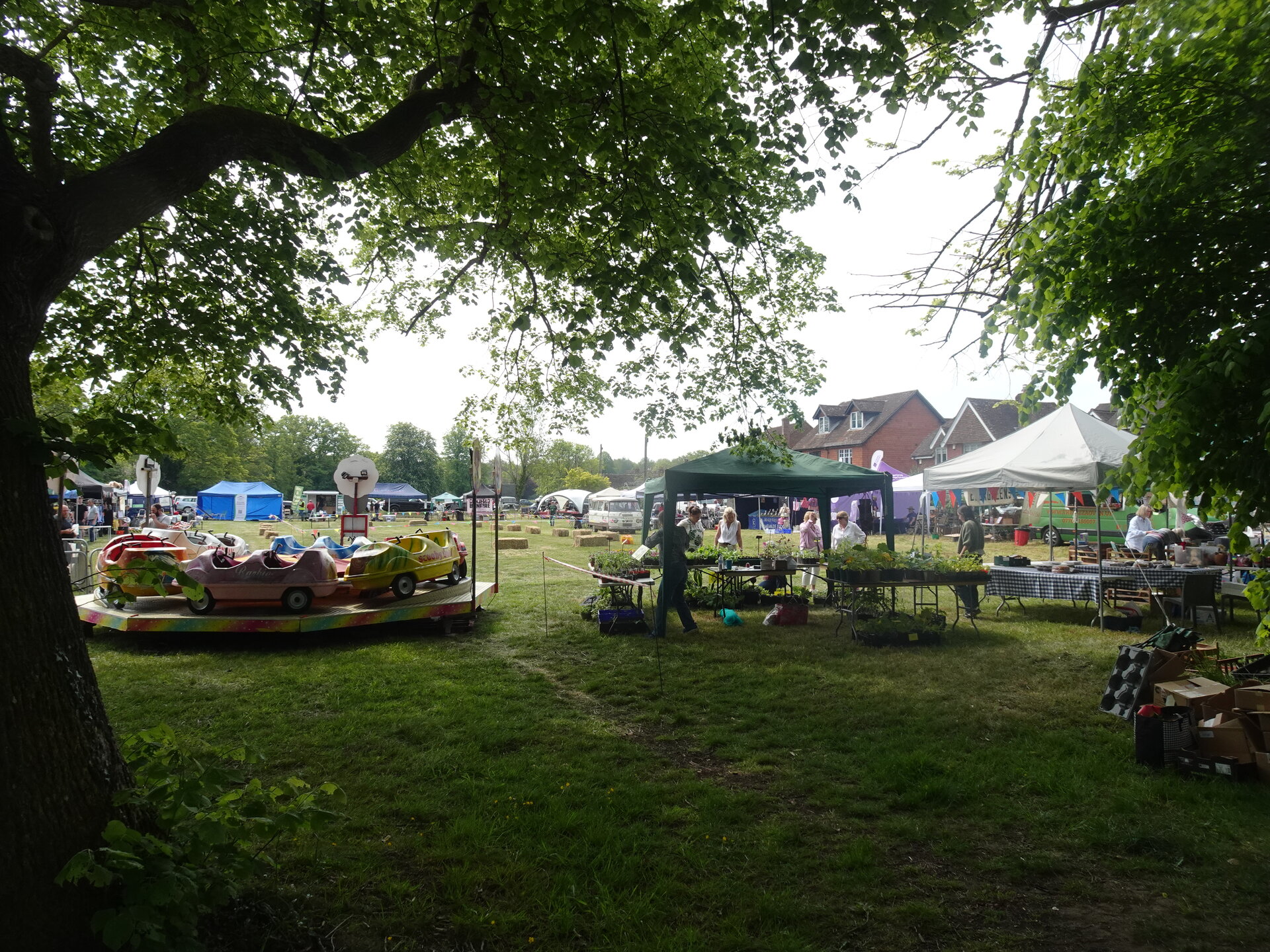 A village fete on a green with a children's roundabout, plant stalls and marquees under trees