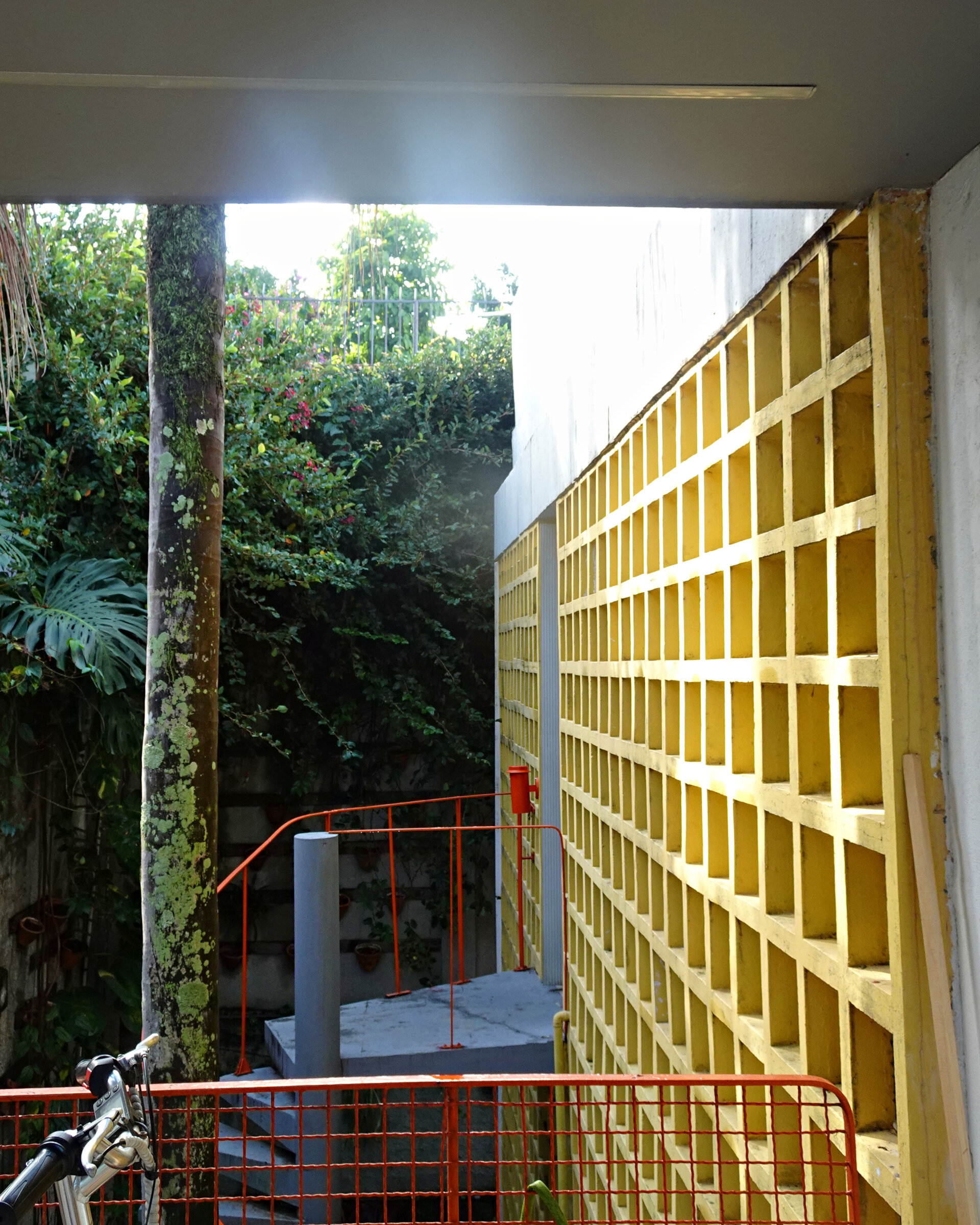 A yellow breeze-block wall and orange handrails beside a mossy tree and dense greenery