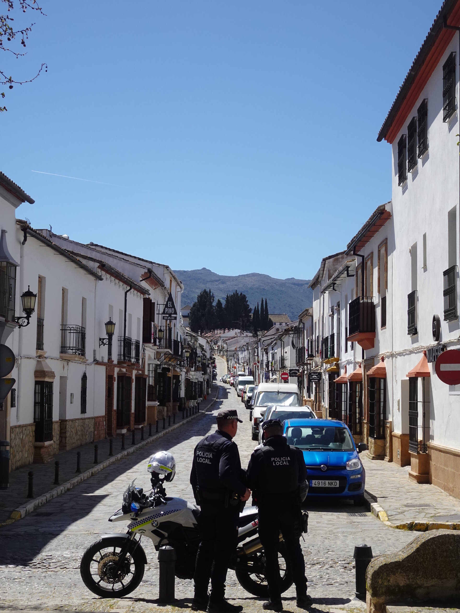 Police officers chatting on a cobblestone street with mountains beyond