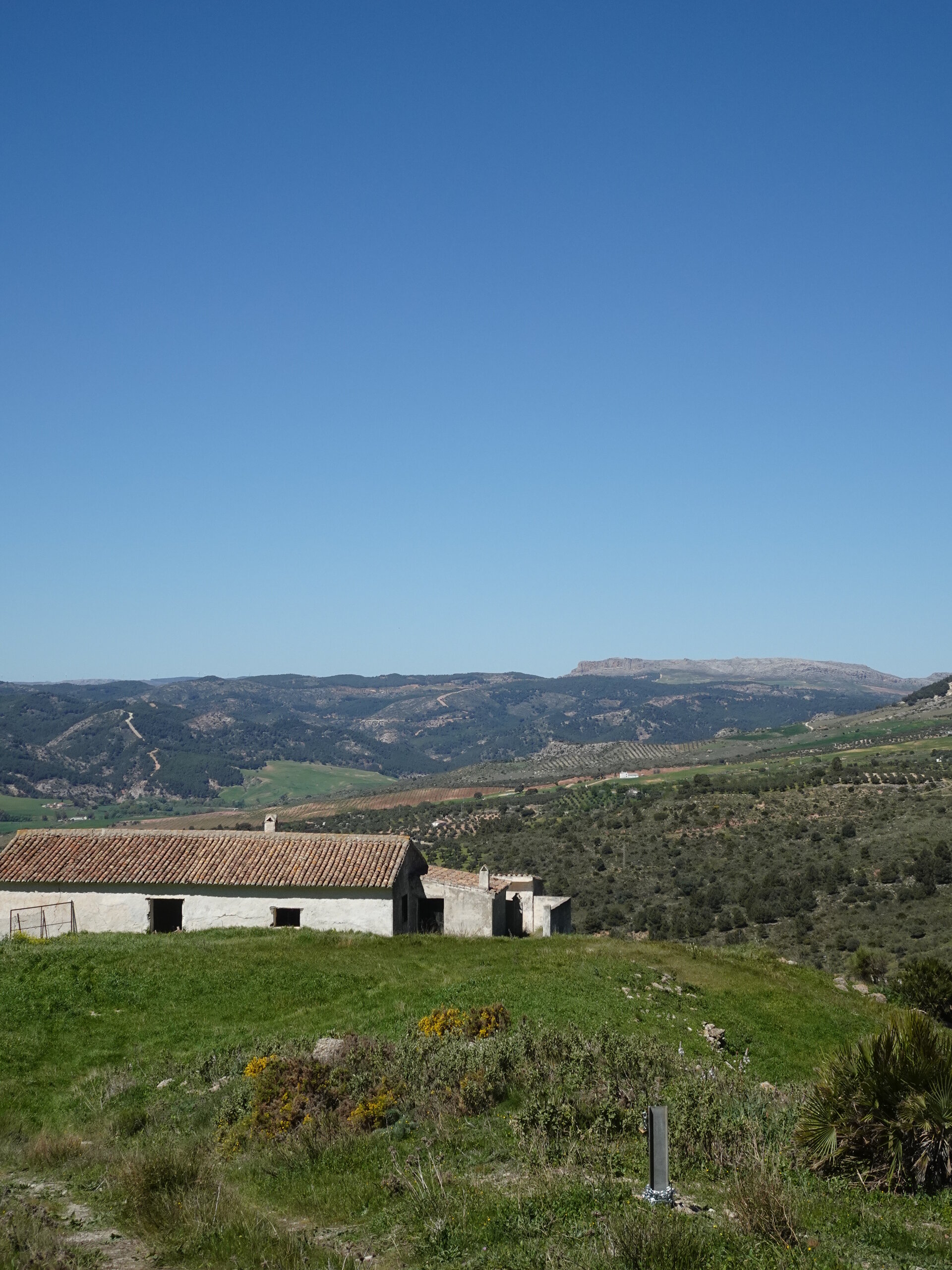 Abandoned farmhouse with olive groves and distant mountains