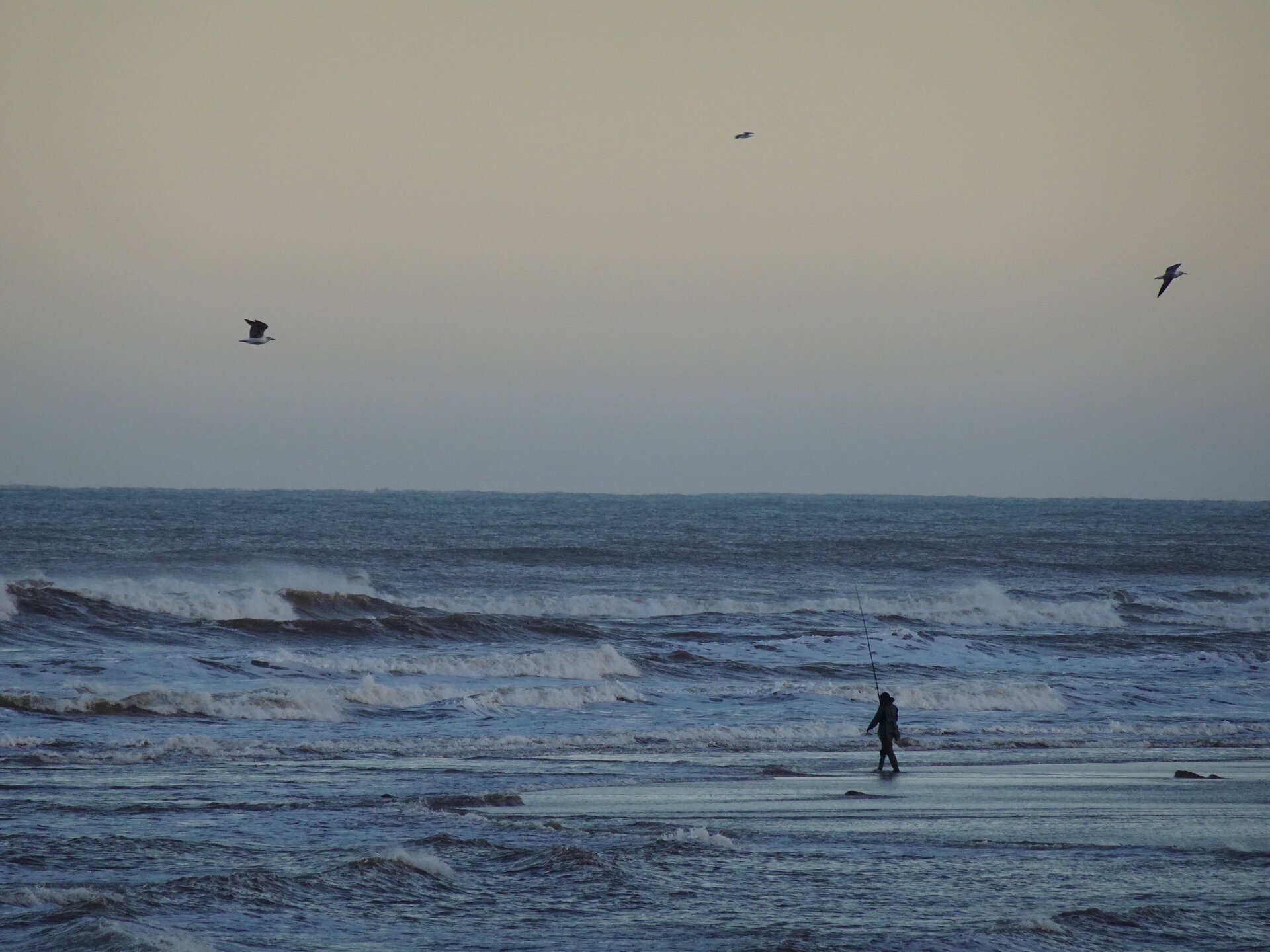 Fisherman walking on the beach