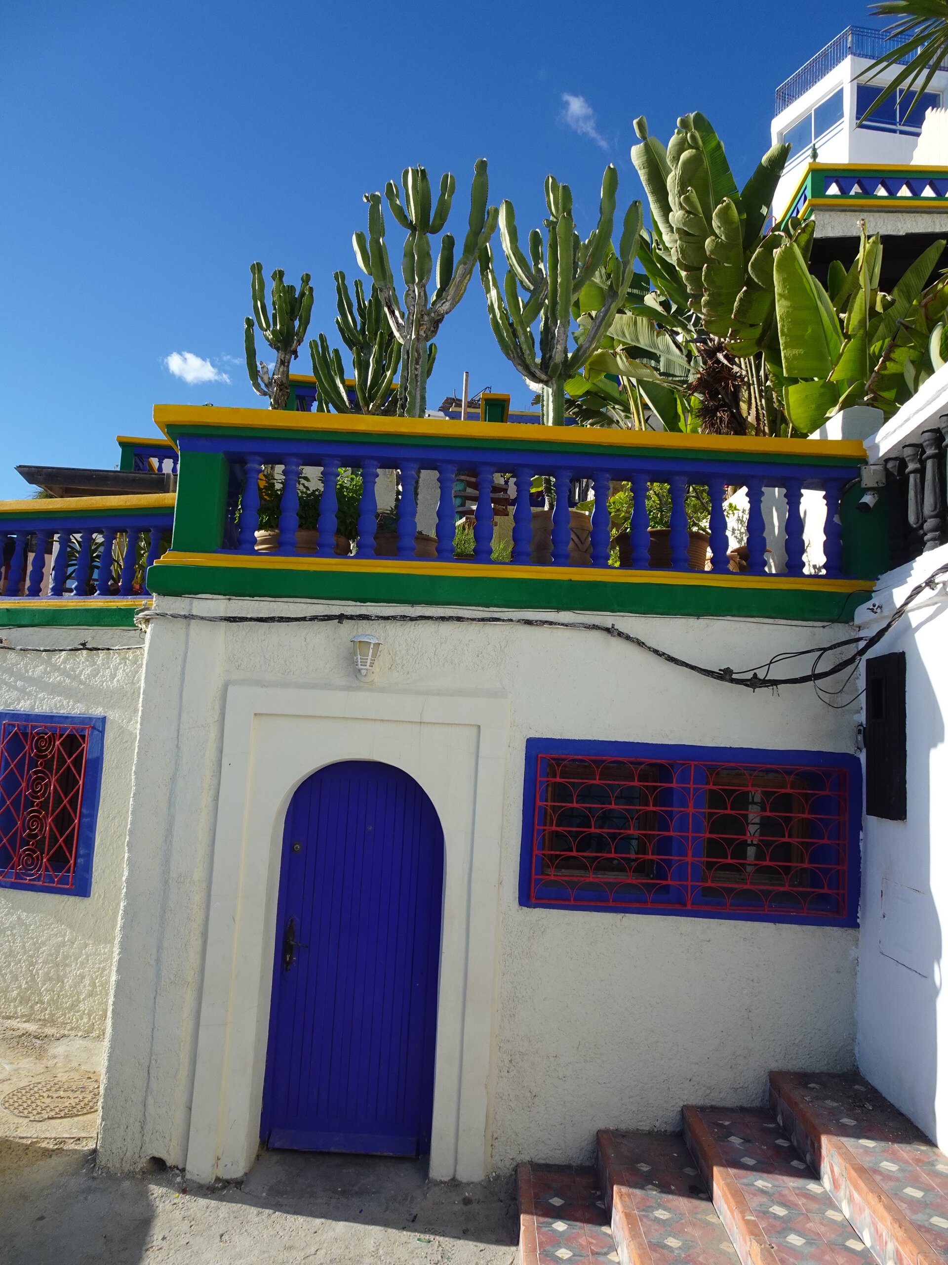 Cacti above a house