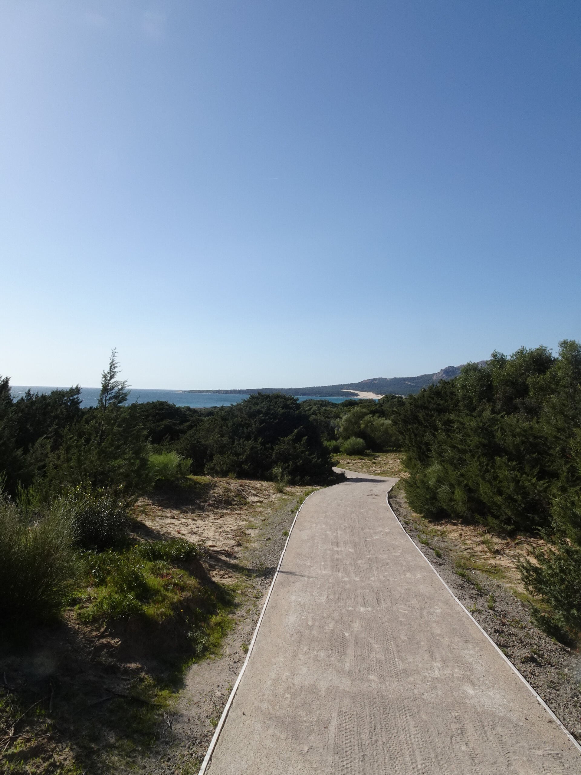 Concrete path winding through coastal scrubland toward the sea