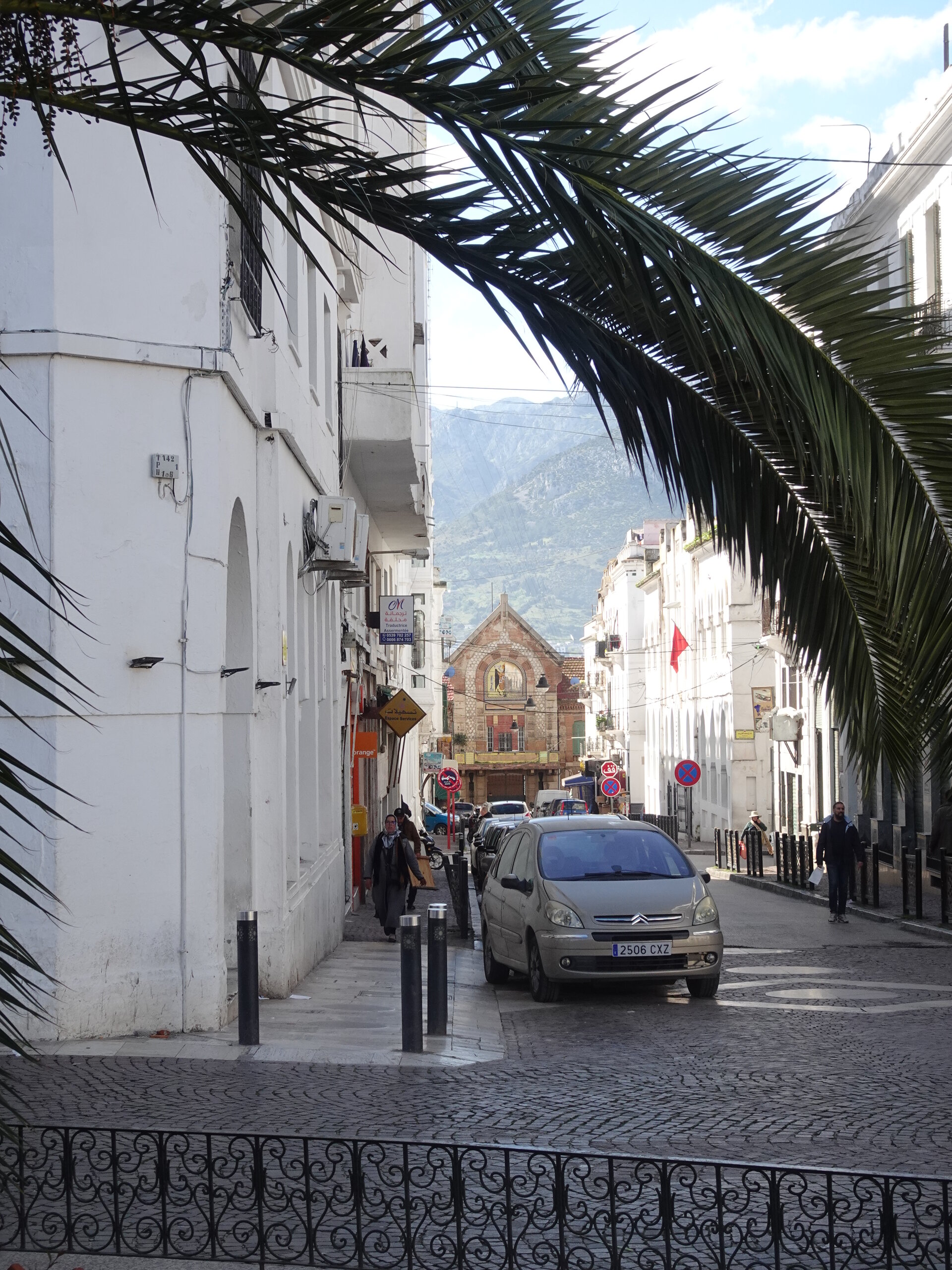 Palm-shaded street with white buildings and mountains in the distance