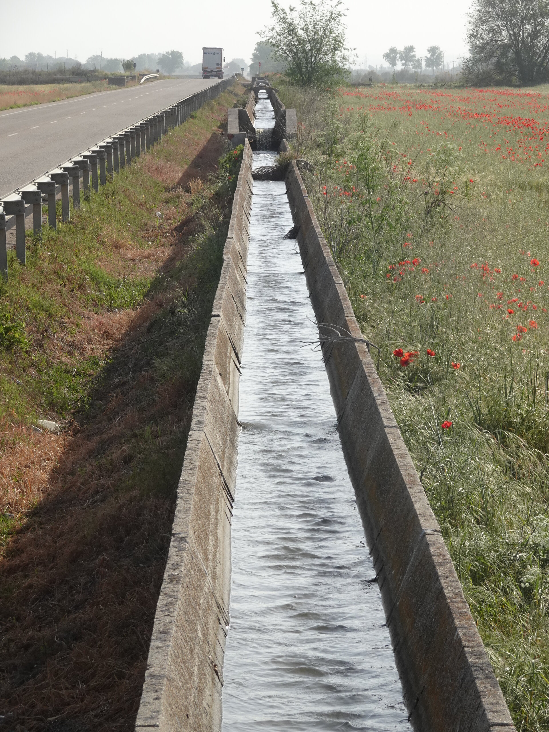 Concrete irrigation channel running beside the road with poppies in the verge